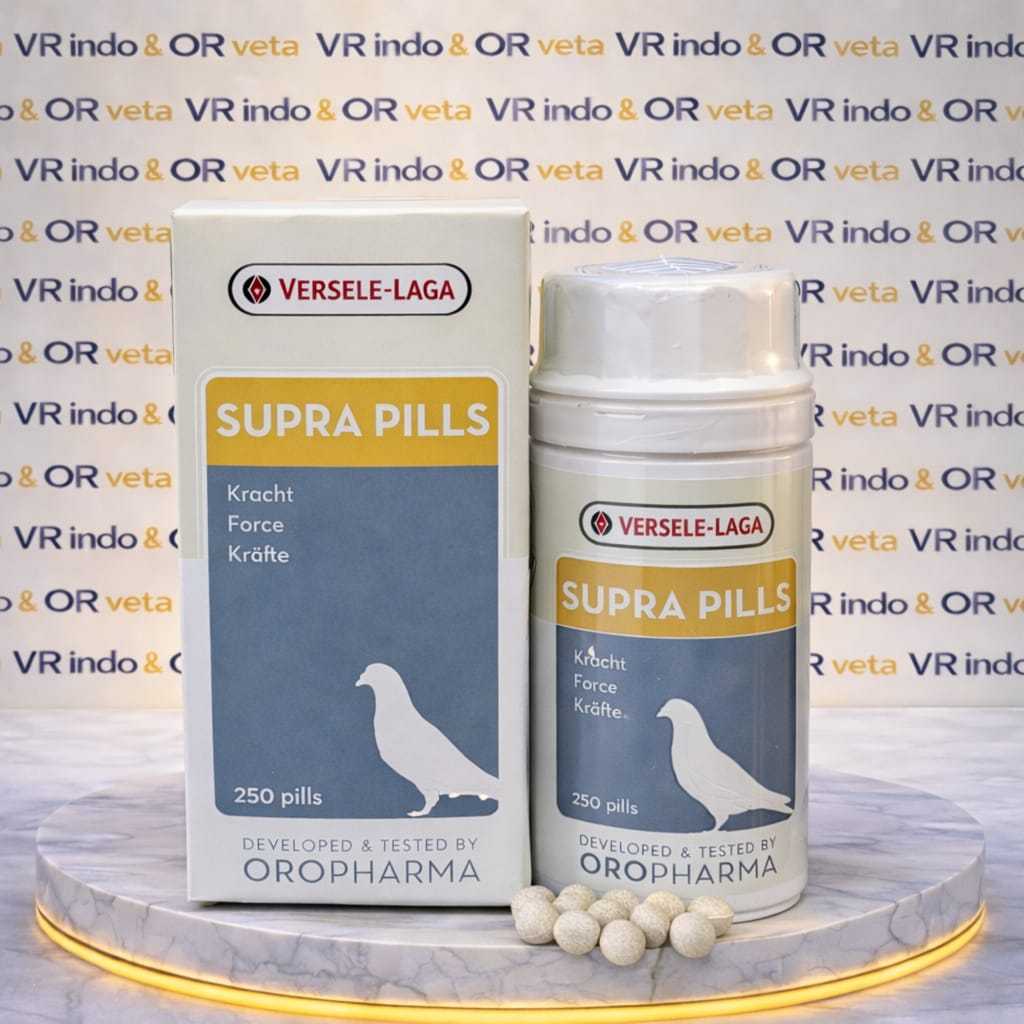 SUPRA PILLS DOPING VITAMIN BURUNG MERPATI HARGA PERBUTIR ECERAN PIL SUPRA VERSELE LAGA IMPORT