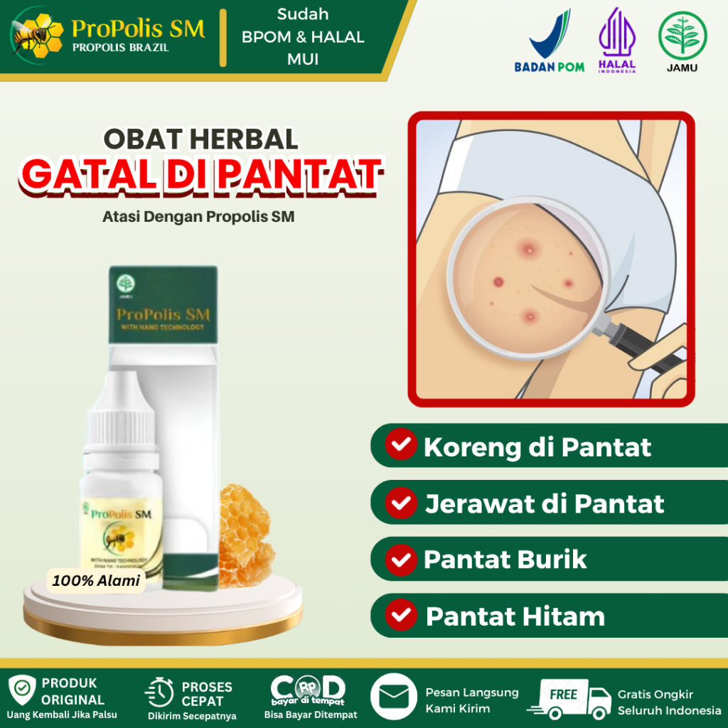 Obat Oles Gatal di Pantat, Koreng di Pantat, Jerawat di Pantat, Pantat Burik, Pantat Hitam, Bekas Lu