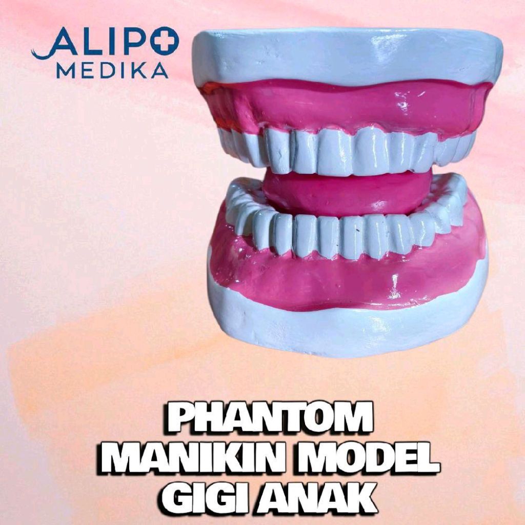 PHANTOM MANIKIN MODEL GIGI ANAK/ MANIKIN PERAGA GIGI ANAK BESAR