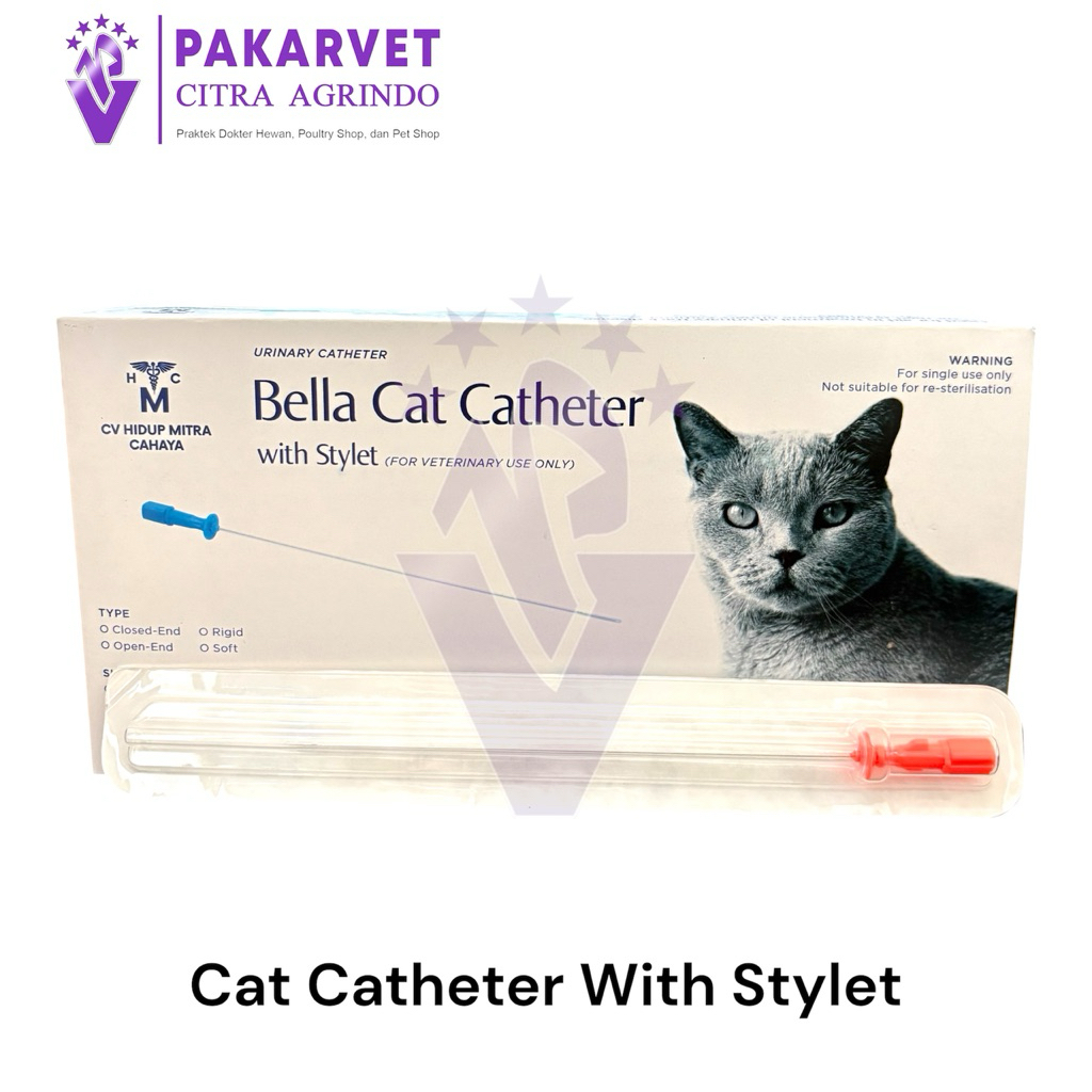 Cat Catheter Kateter Urin Kucing