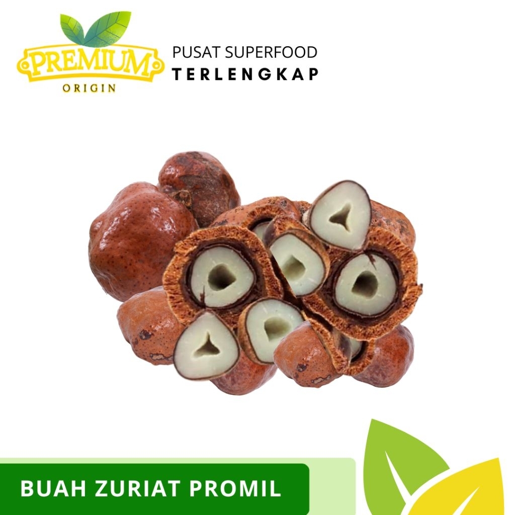 [ 100% NATURAL ] Zuriat Mesir dan Zuriat Madinah Promil | Zuriat Promil | Promil Sehat