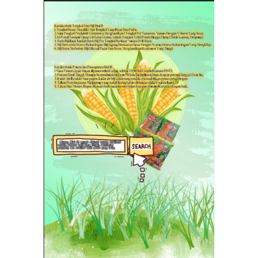 Bibit jagung Bisi - 18