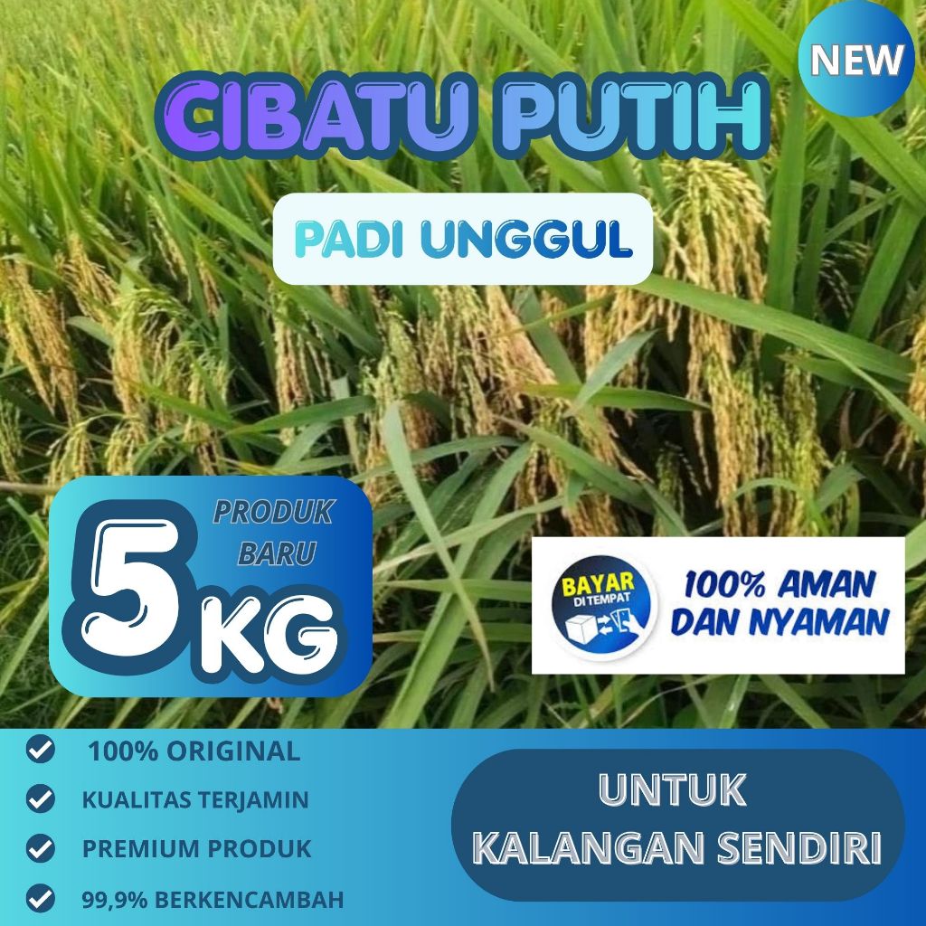 Benih padi cibatu putih kemasan 5kg original