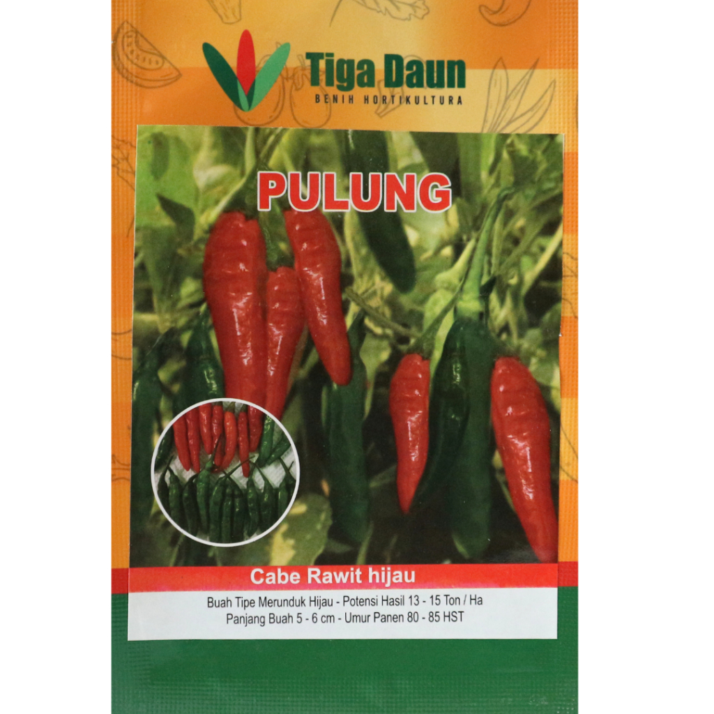 Cabe Rawit Hijau Pulung Benih Cabe Rawit Hijau Merunduk 10gr