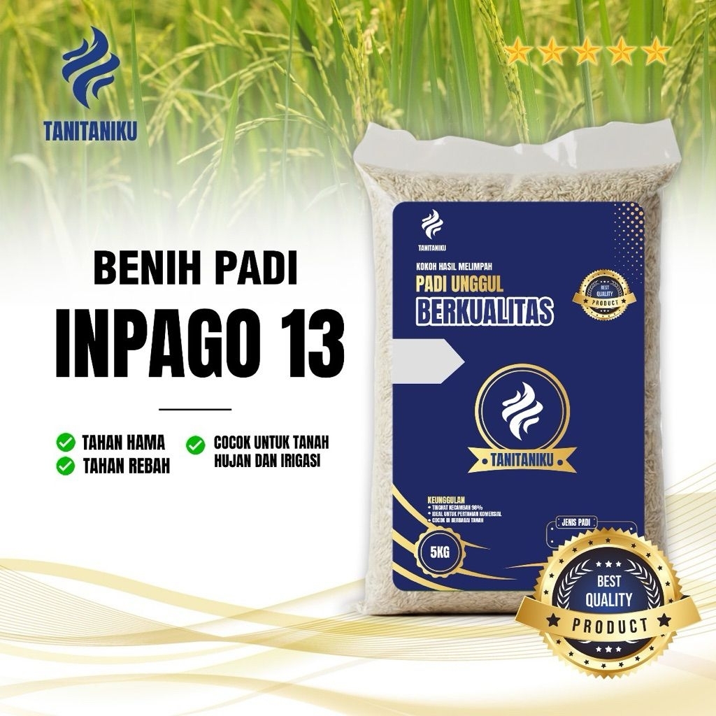 BENIH PADI VARIETAS INPAGO 13 5KG