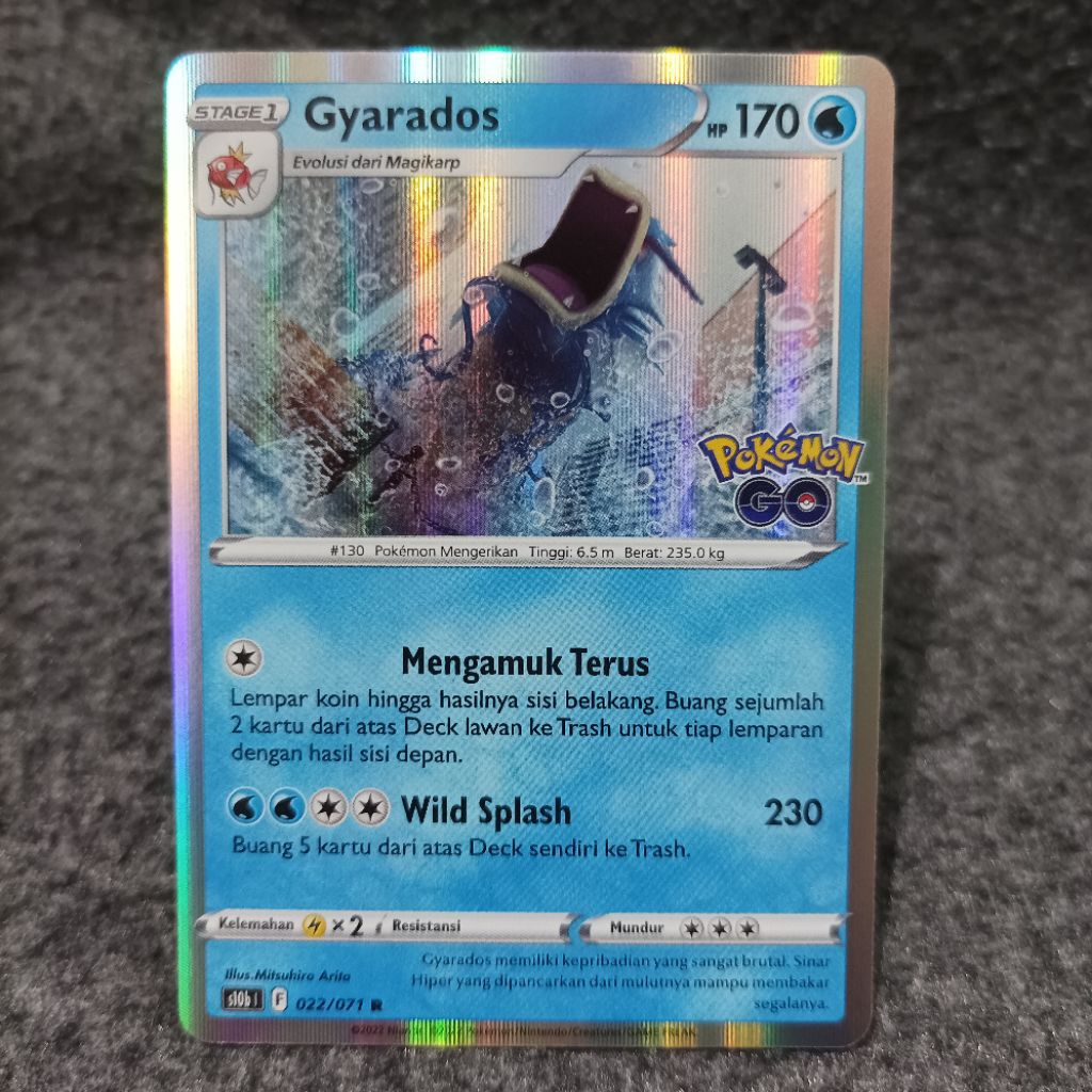Pokemon indonesia TCG gyarados 022/071 R s10b pokemon go