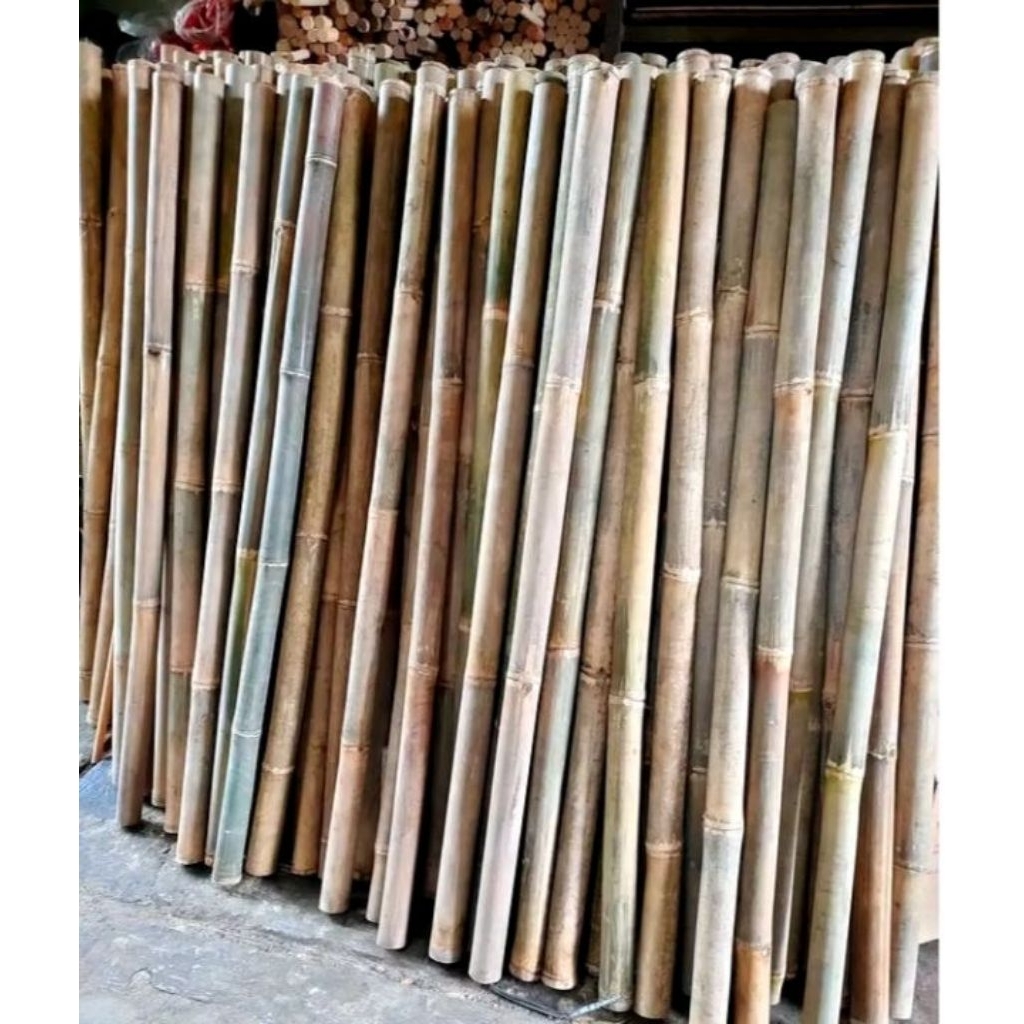 tongkat Pramuka bambu