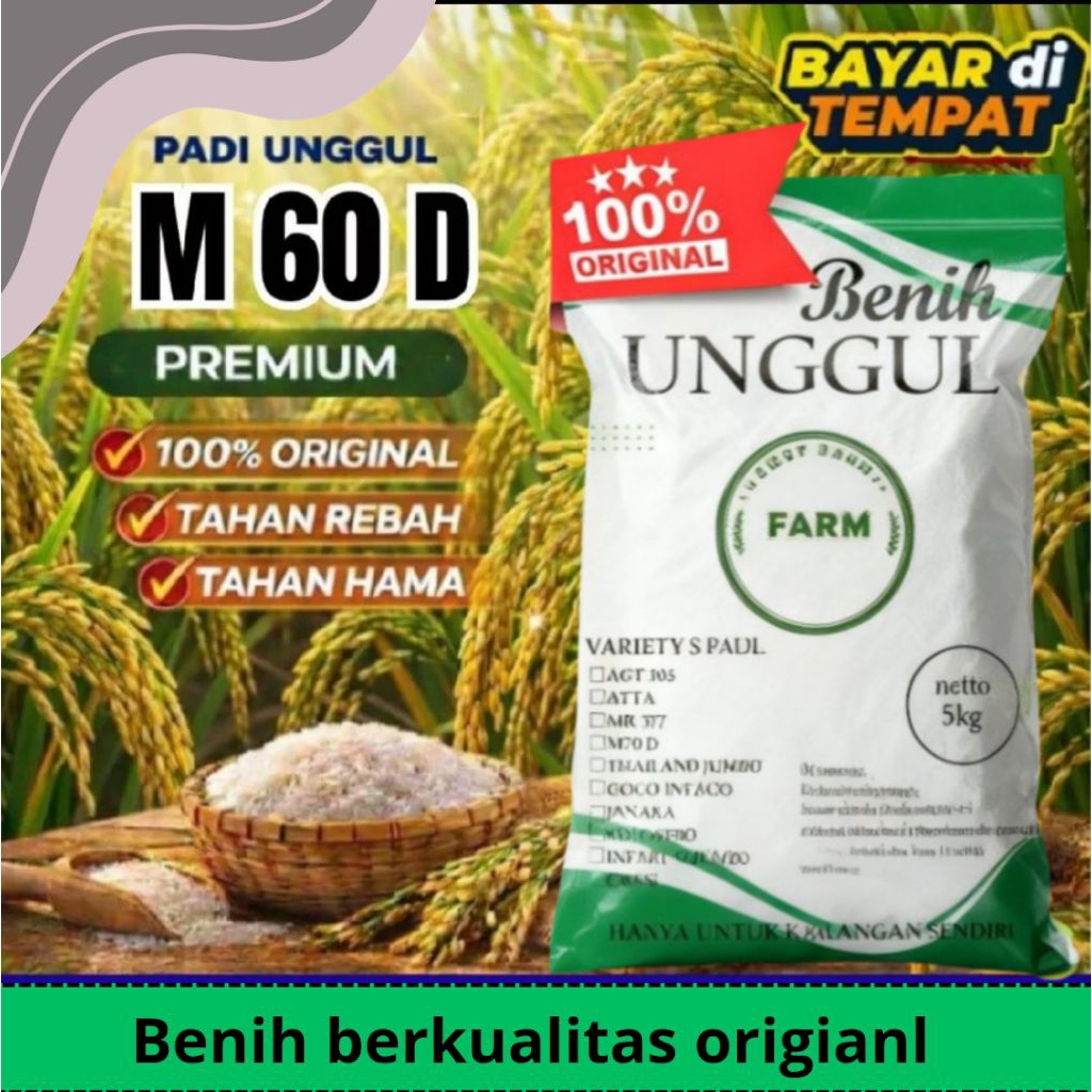 benih padi M.60D kemasan 5kg.