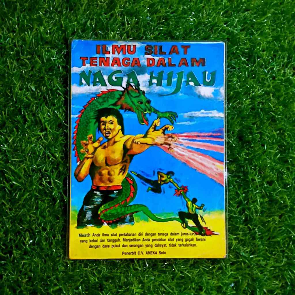 Ilmu silat tenaga dalam naga hijau - buku andalan teknik olah nafas kekuatan rohani dan jasmani