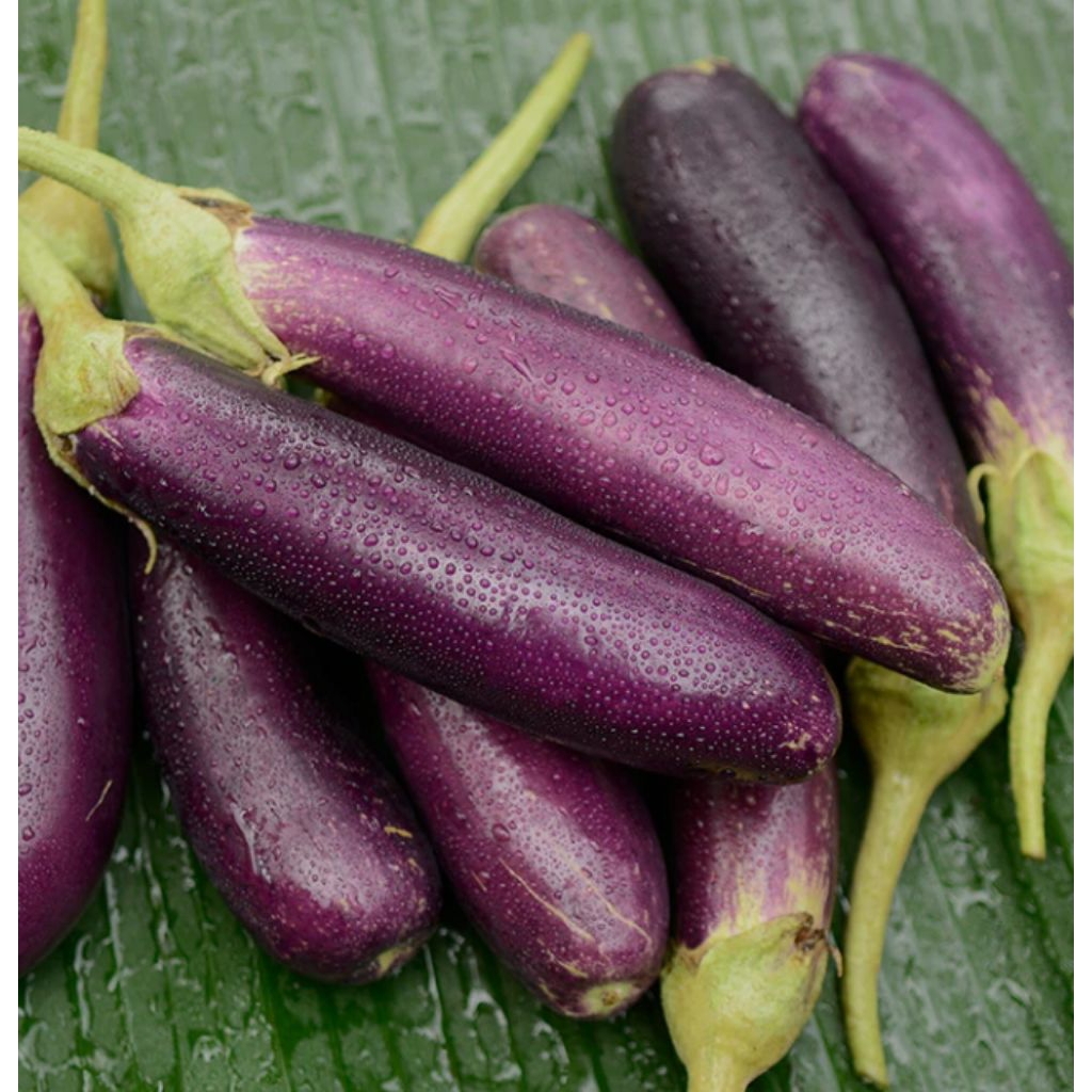 Terong, Pare, Gambas, Jagung, Kacang Panjang