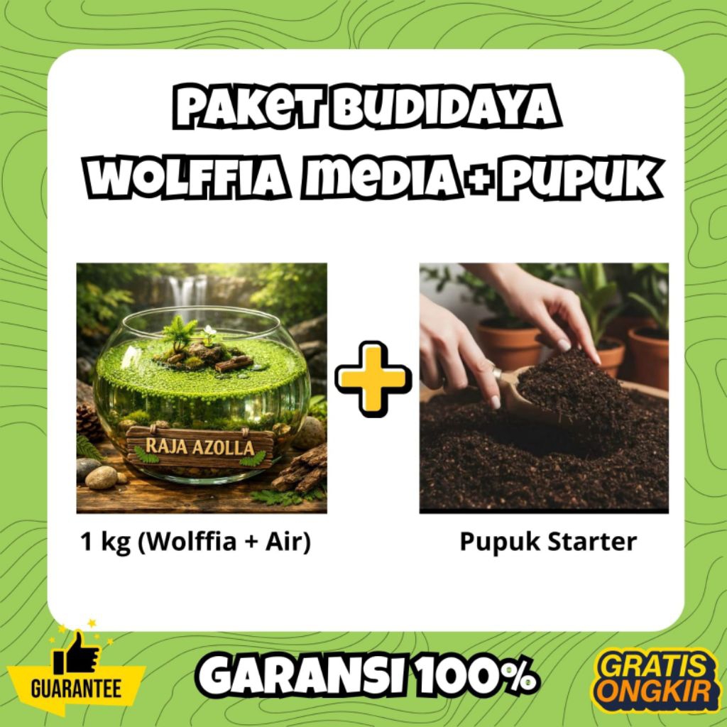 Paket Budidaya Wolffia (Media Air 1 Kg) + Pupuk Starter | Garansi 100%
