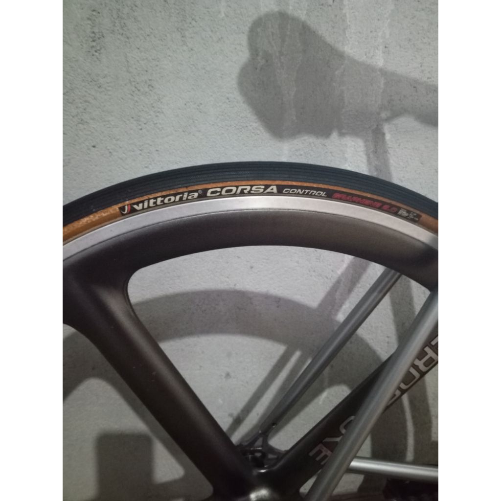 Ban luar vittoria corsa control graphene 2.0