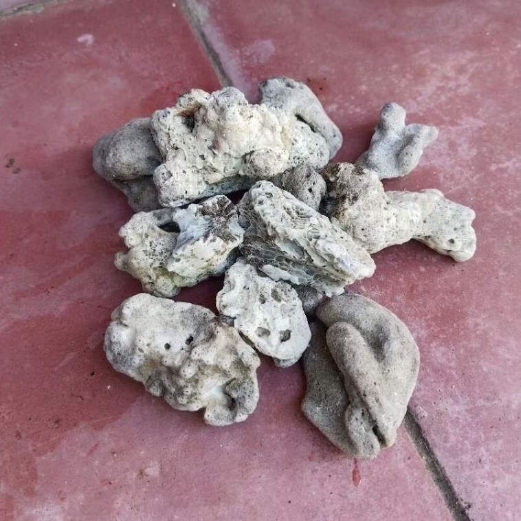 bisa cod harga murah batu karang laut hiasan akuarium/pot bunga 6 pcs random
