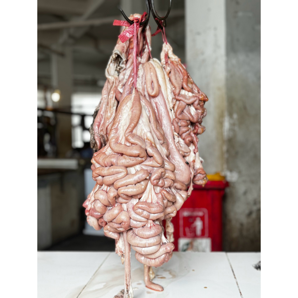 Usus atau Iso Sapi lokal fresh halal