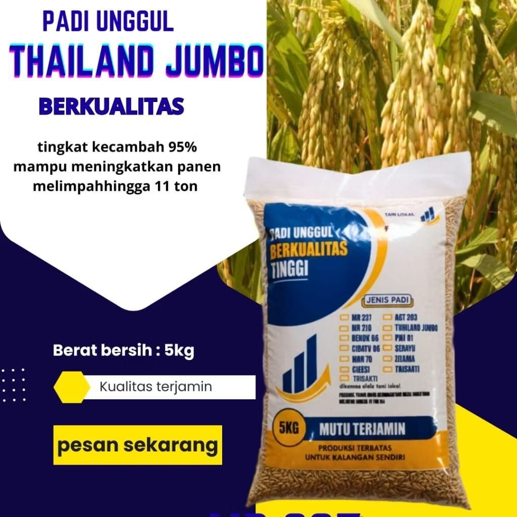 Benih Padi Original Thailand Jumbo Kemasan 5KG