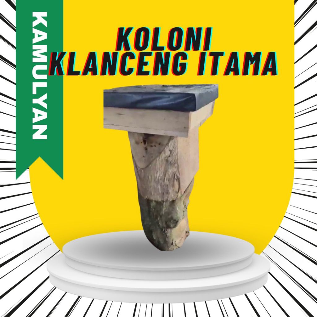 Koloni Lebah Klanceng Itama