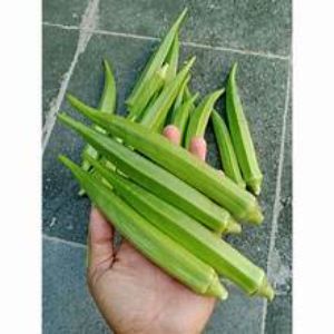 Sayur okra, okra segar, sayur okra fresh 100gr
