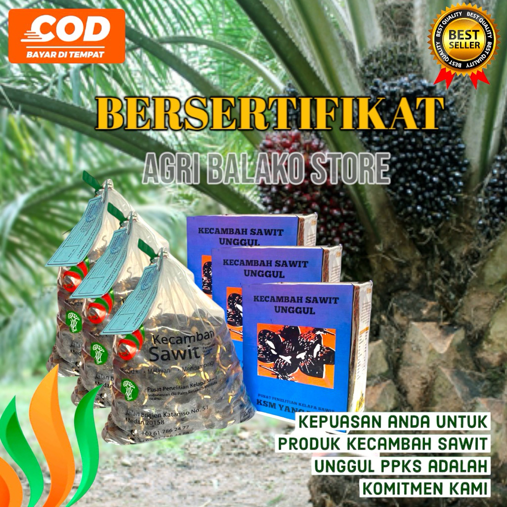 PPKS  MEDAN UNGGUL BERSERTIFIKAT + baju