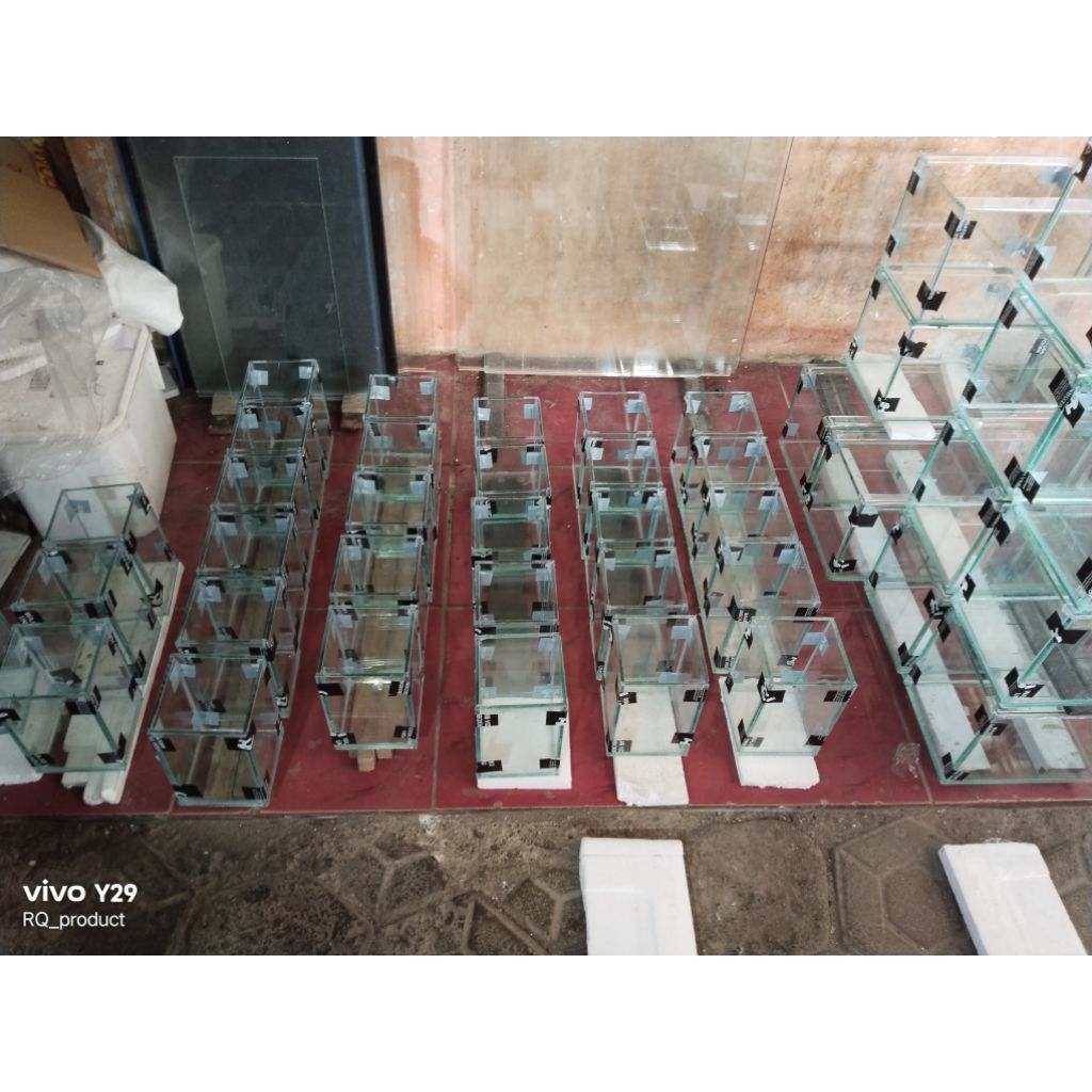 soliter ikan cupang kaca 15x10x10
