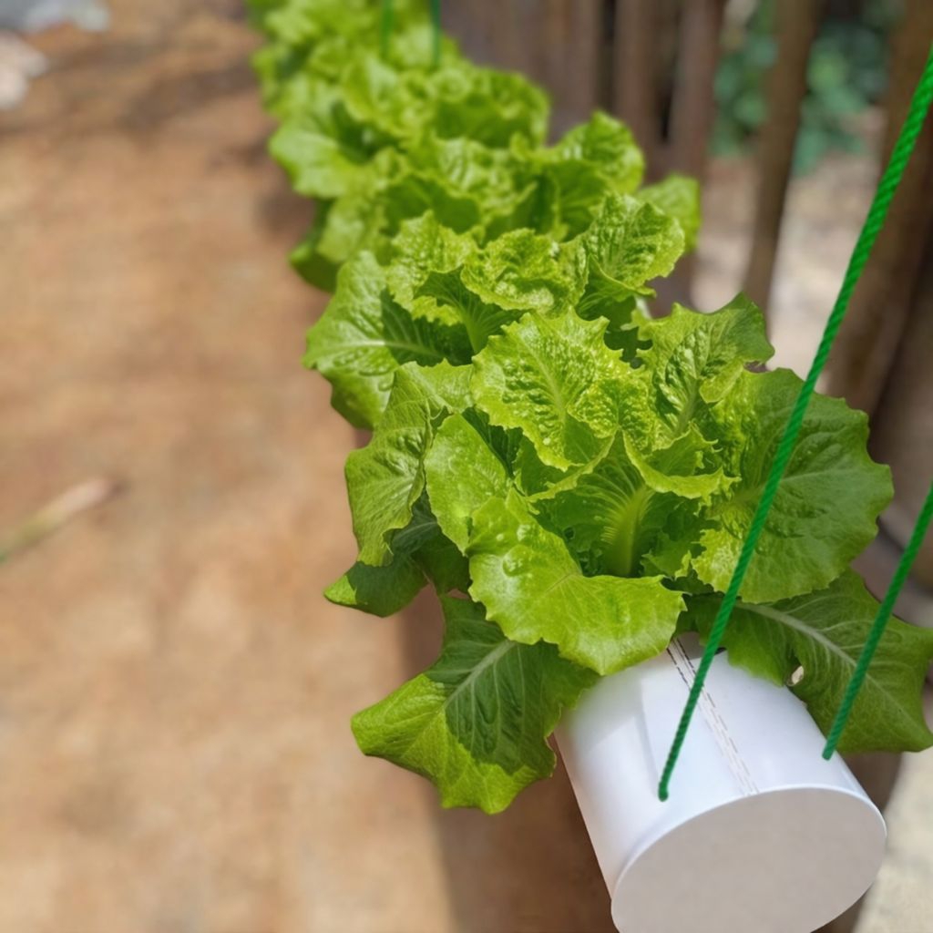 POT GANTUNG HORIZONTAL, pot hidroponik pot tower pot vertikal garden pot bunga pot tanaman pot sayur