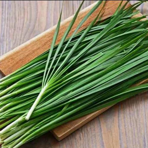 Daun kucai, daun kucai segar, daun kucai fresh