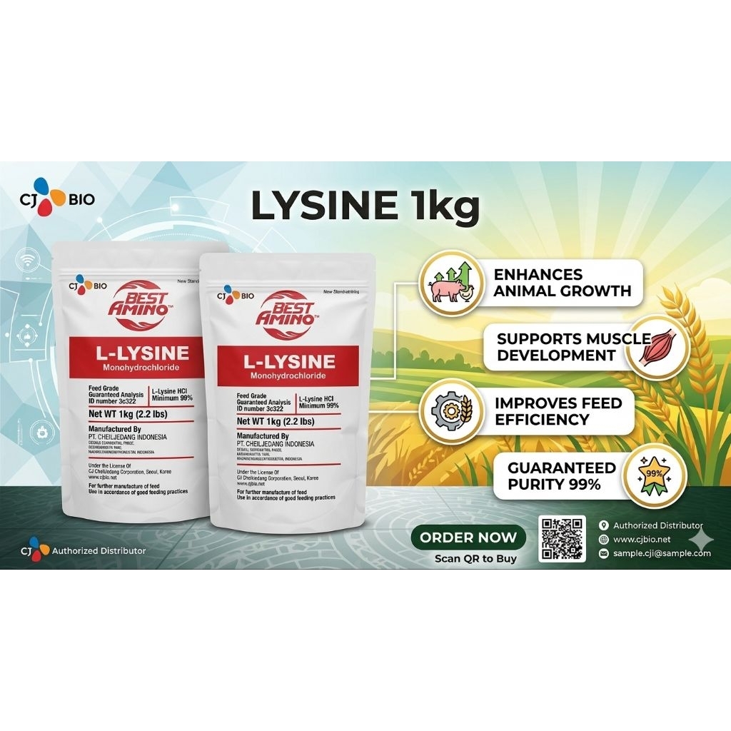 lysine 1 kg