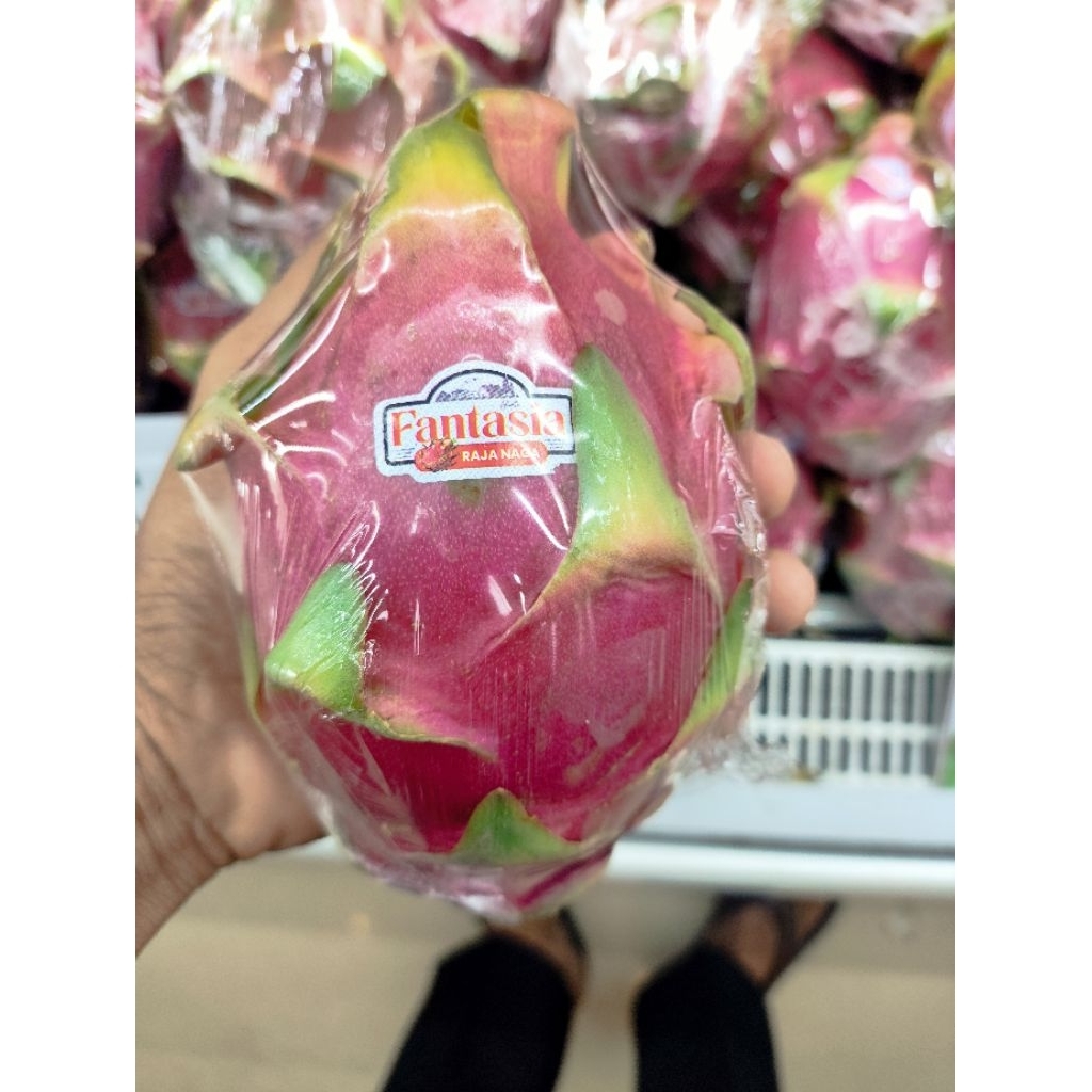 Naga putih vietnam buah naga putih white dragon import 1kg
