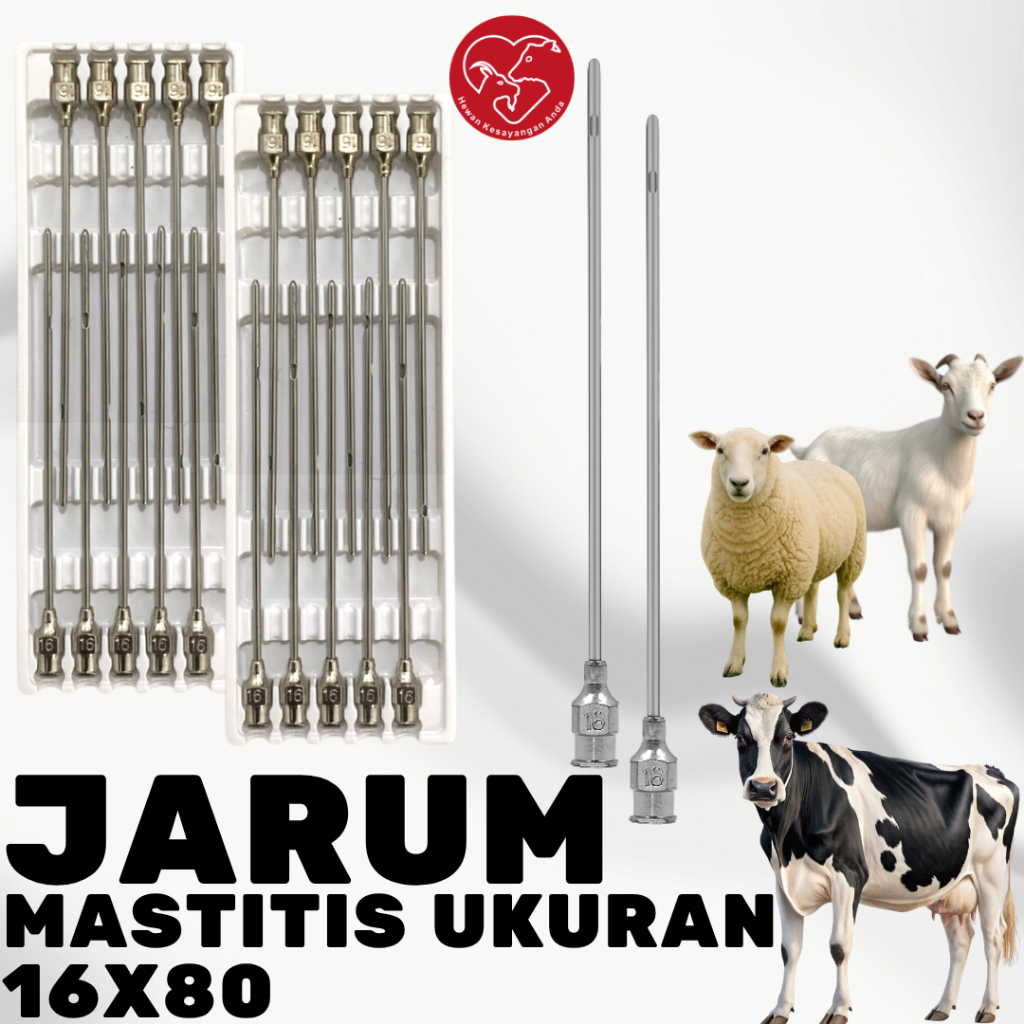 Jarum Suntik Tumpul Reusable Untuk Pengobatan Suntik Mastitis Sapi Kambing Domba 16x80