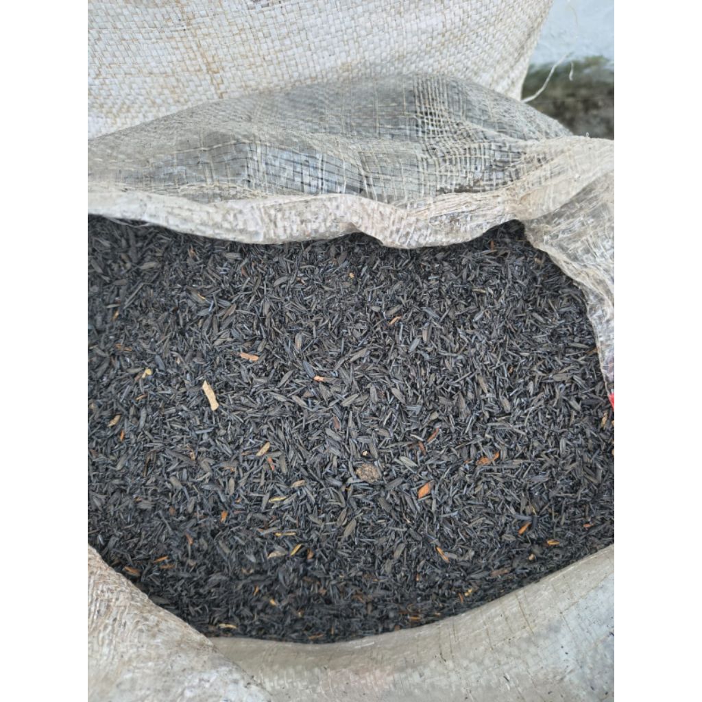 sekam bakar/arang sekam