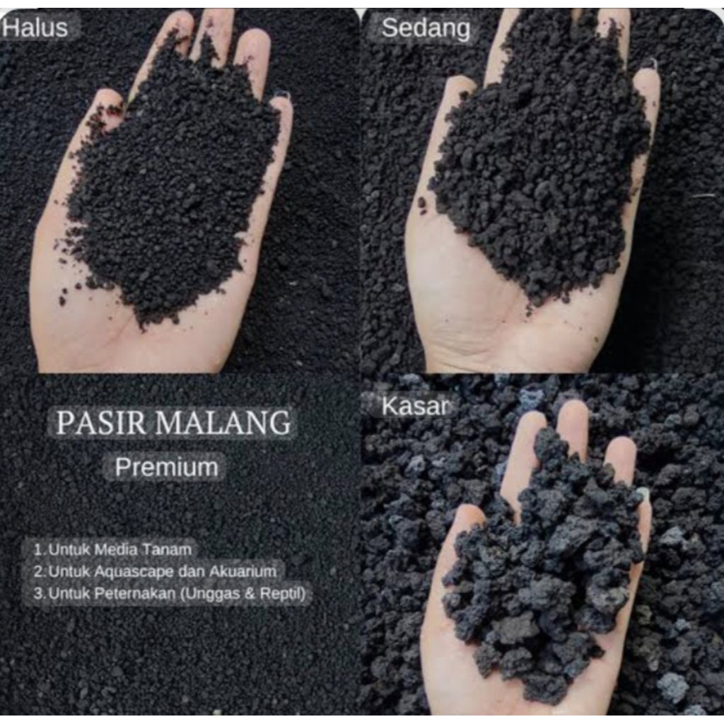Media Tanam Pasir Malang Aquascape Yang Porous Dan Steril - Pasir Malang Aquarium Aquascape Pasir Ma