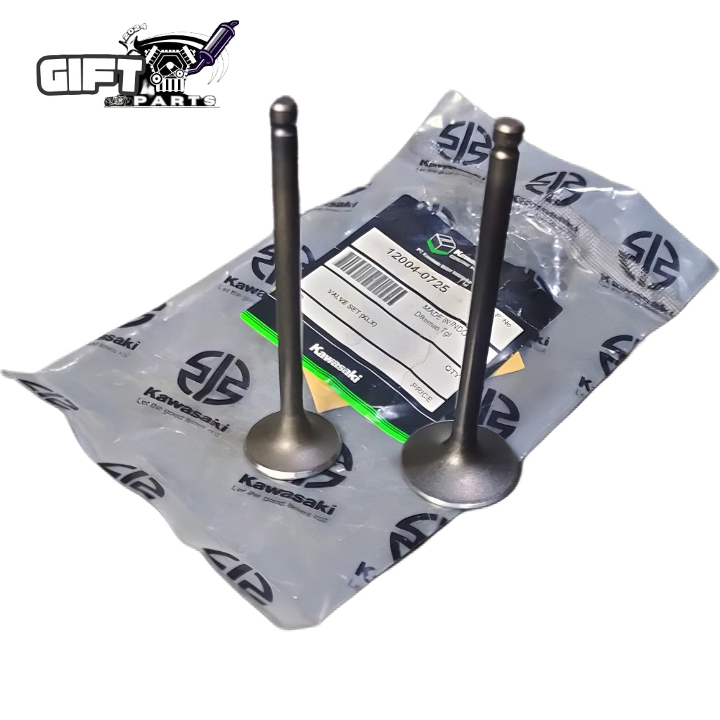 KLEP/PAYUNG KLEP KLX RUBAH PNP BEAT CARBU/BEAT FI RUBAHAN 1 SET IN EX