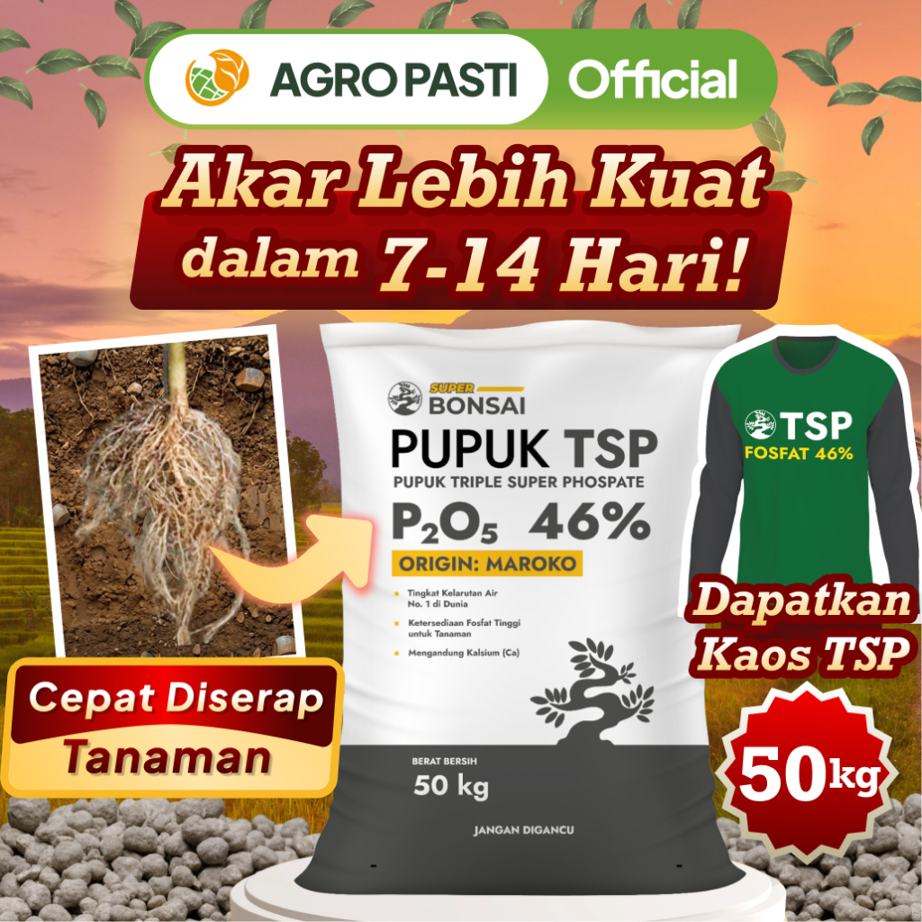 Pupuk TSP Fosfat 46% Bonsai 50kg – Pupuk Kalsium, Pupuk Akar & Dasar untuk Pertumbuhan Optimal (Caba