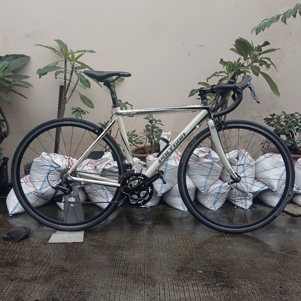 SEPEDA BALAP ROADBIKE POLYGON HELIOS 200 SIZE S 50 UPGRADE SORA WHEELSET 20/24H ALLOY RINGAN