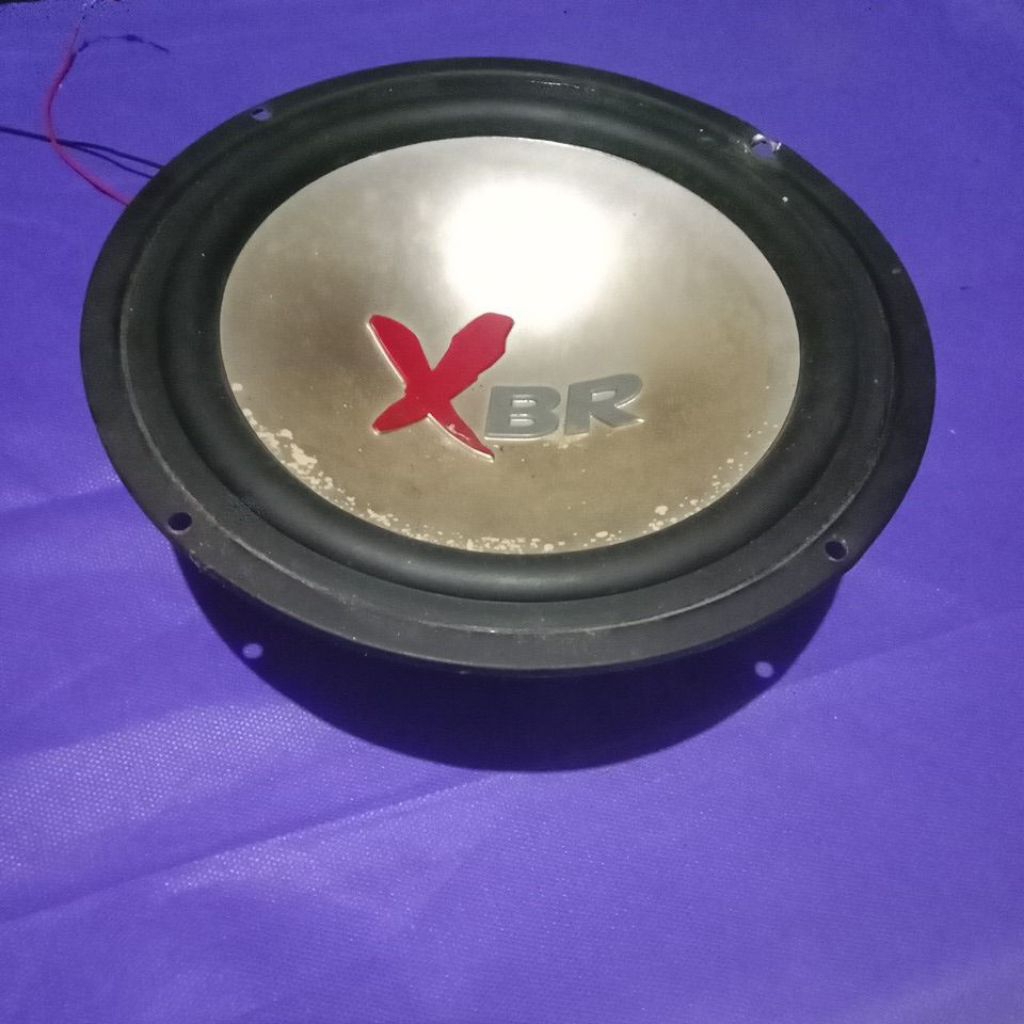 SECOND- Speaker XBR Polytron 8 inch