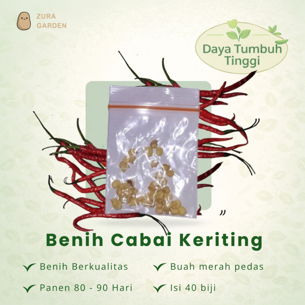 Benih CMK Isi 40 Biji, Cabai Merah Keriting, Aroma Khas