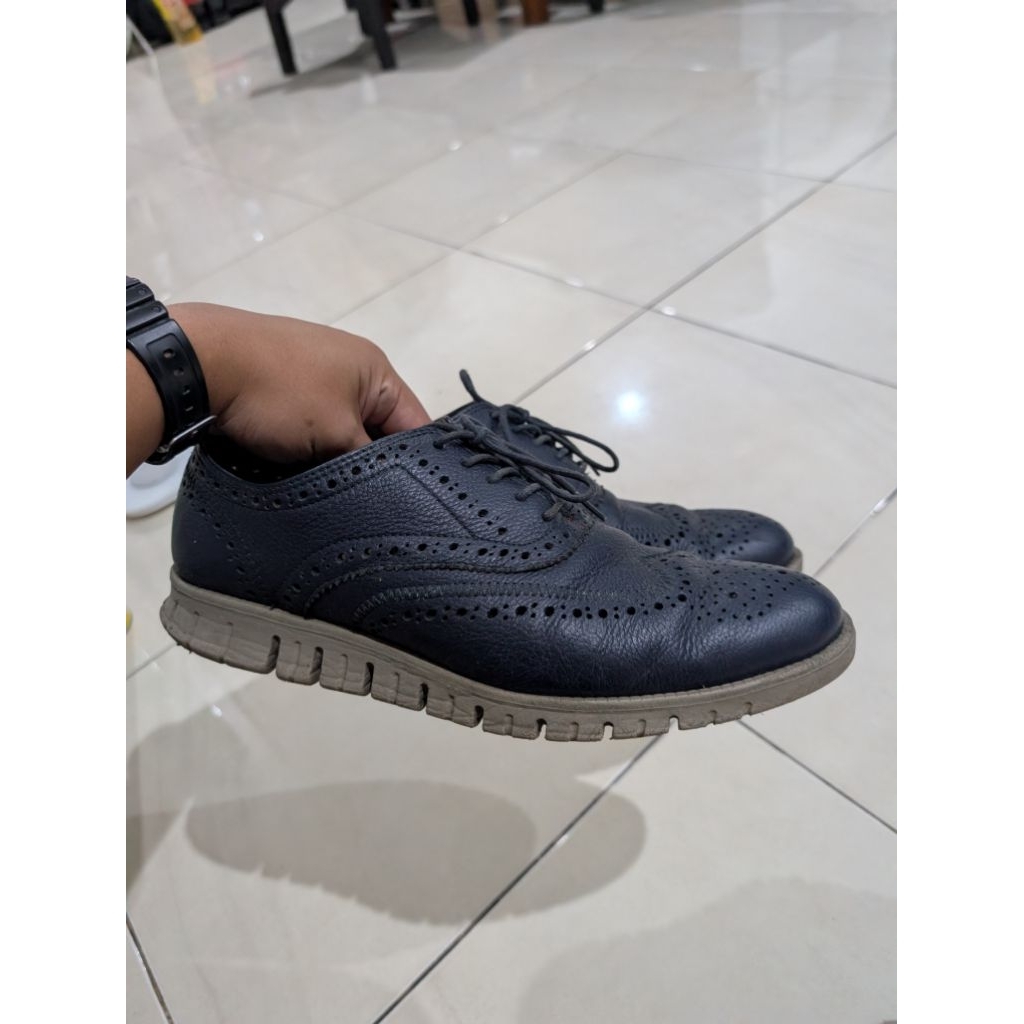 Gino Mariani Zenon 42