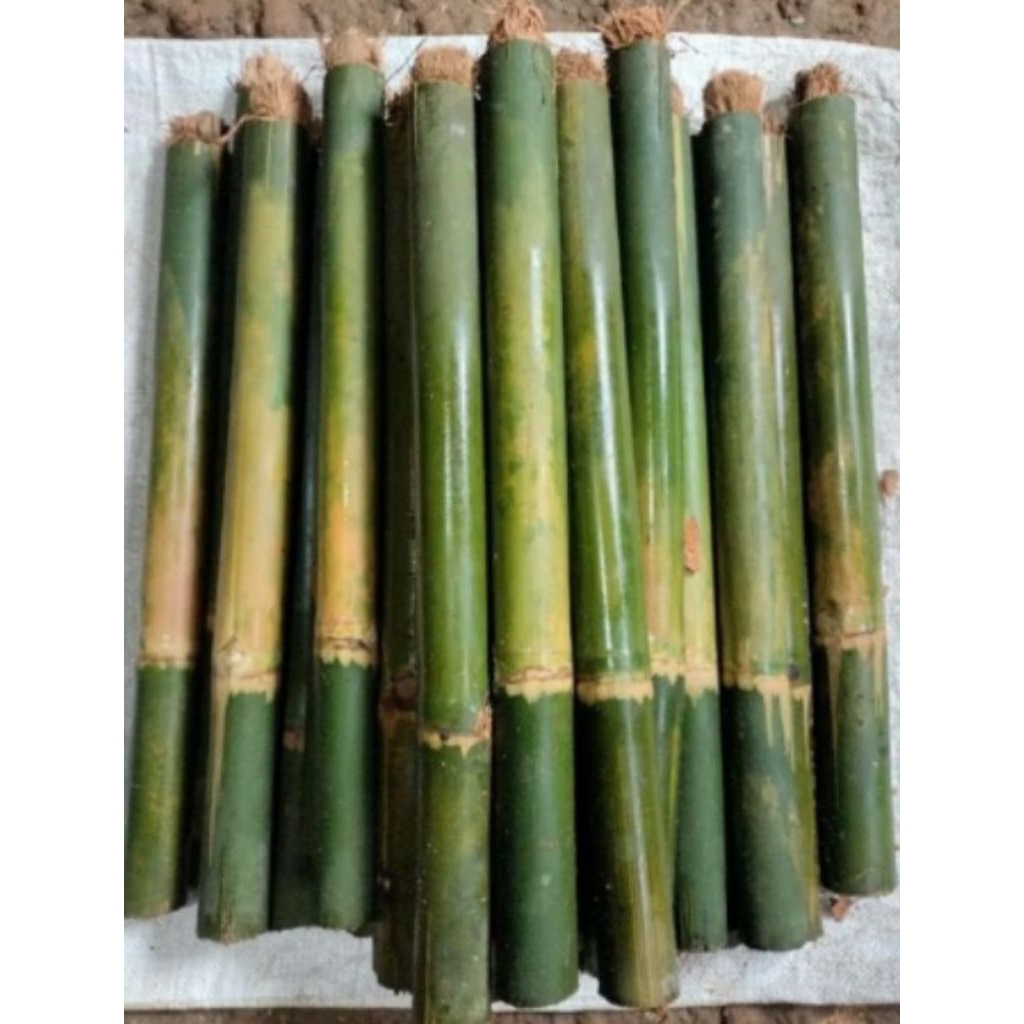 onycor bambu 10 pcs murah buat perayaan pawai obor