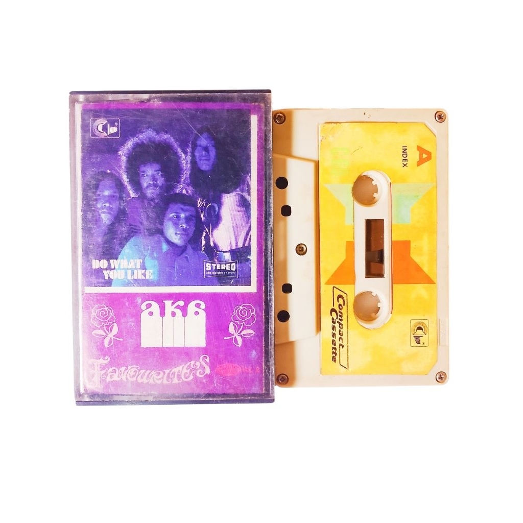 KASET PITA AKA DO WHAT YOU LIKE AND FAVORITE'S GROUP MIMPI SEDIH