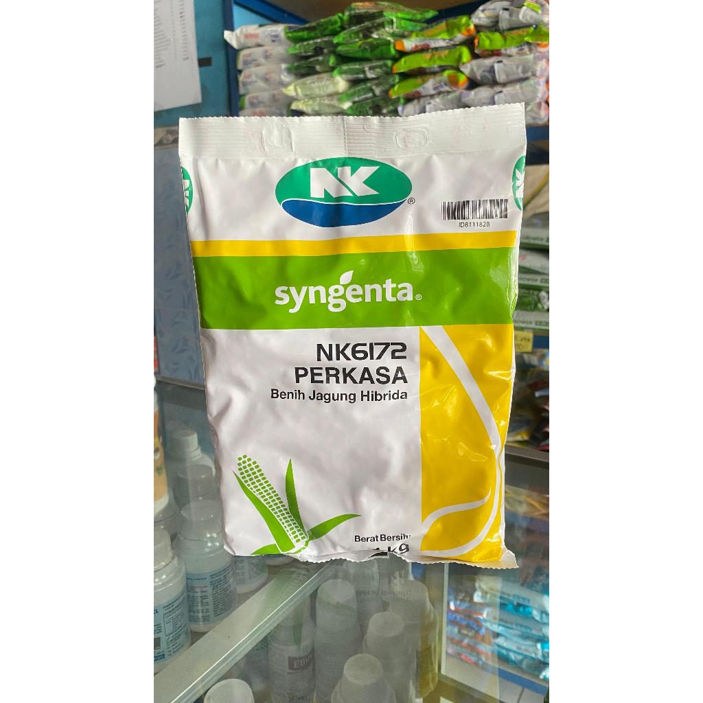Benih Jagung Hibrida Syngenta NK Perkasa 1 kg
