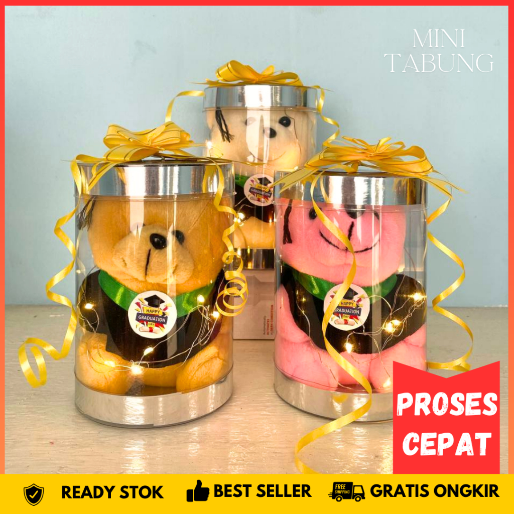 Kado Boneka Wisuda Box Mika Led Tabung Teddy Bear Mini Grosir Murah Untuk Perpisahan Sekolah PAUD TK