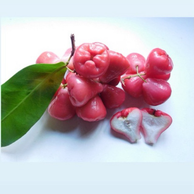 Jambu air merah / jambu rujak / jambu air renyah