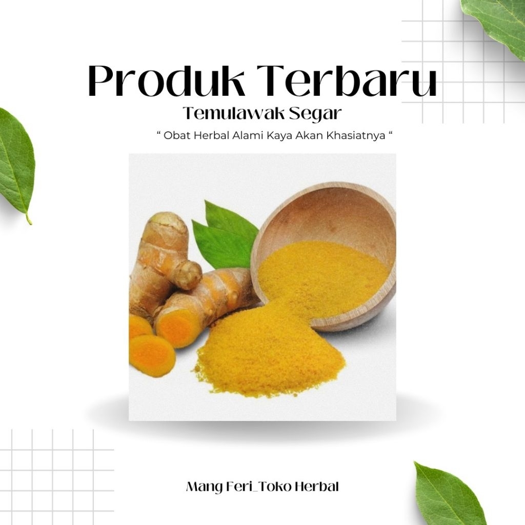 Temulawak Segar 1kg - Temulawak Fresh