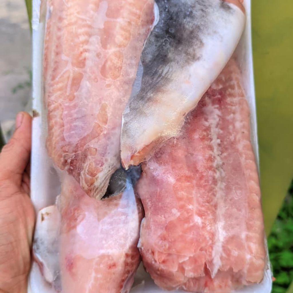 FILET LELE 1 KG