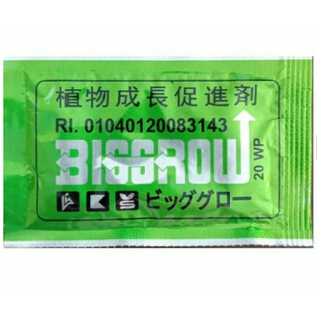 Pupuk ZPT Big Grow 5gr - Memacu Pertumbuhan Tanaman dengan Gibberellic Acid