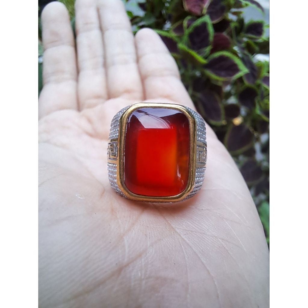 Red baron pacitan model kotak