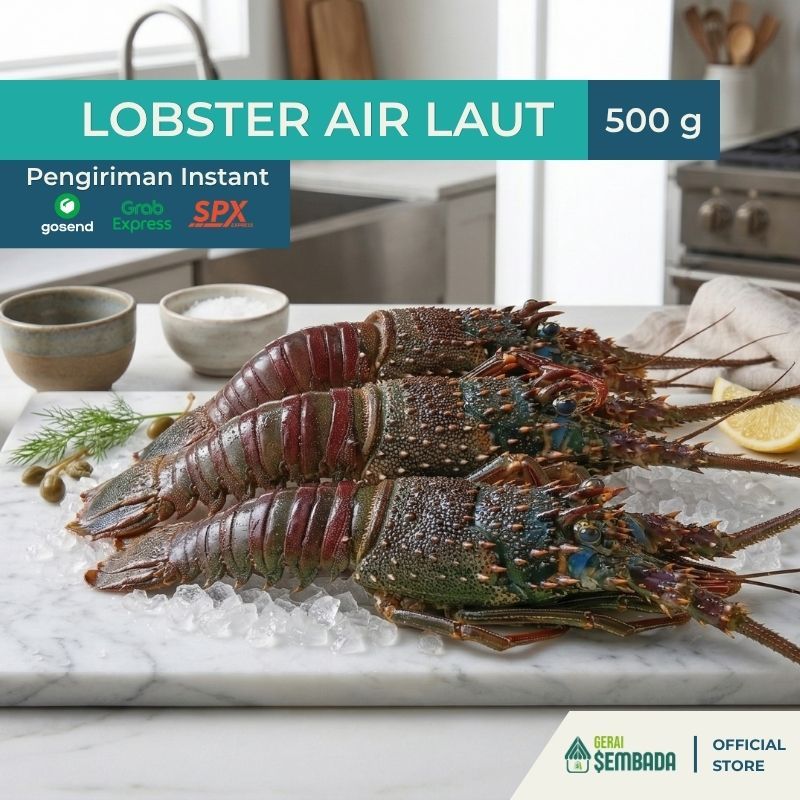 Lobster Laut Utuh Frozen Premium - Total Berat ±500 Gram