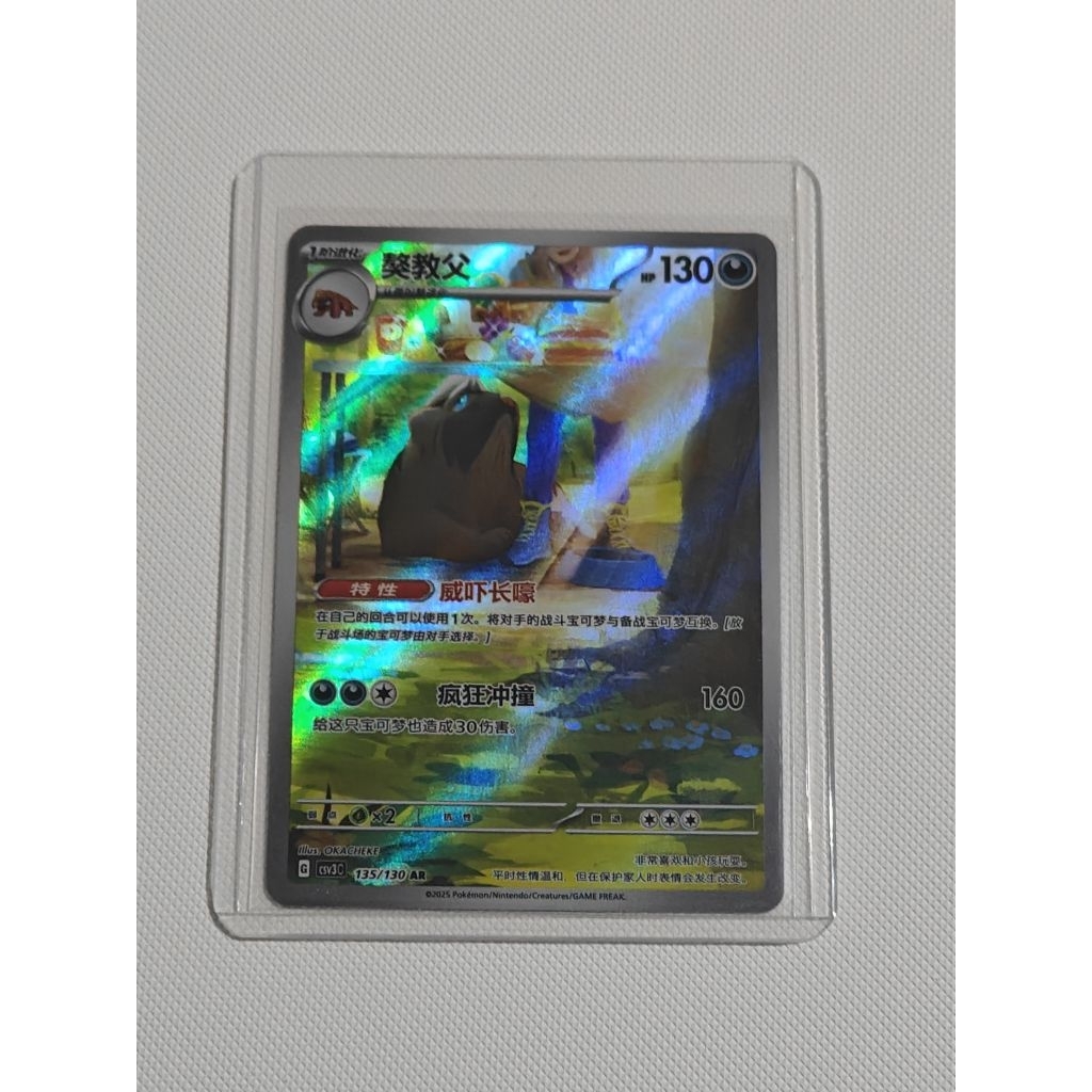 Kartu Pokemon Mabosstiff AR Chinese Original