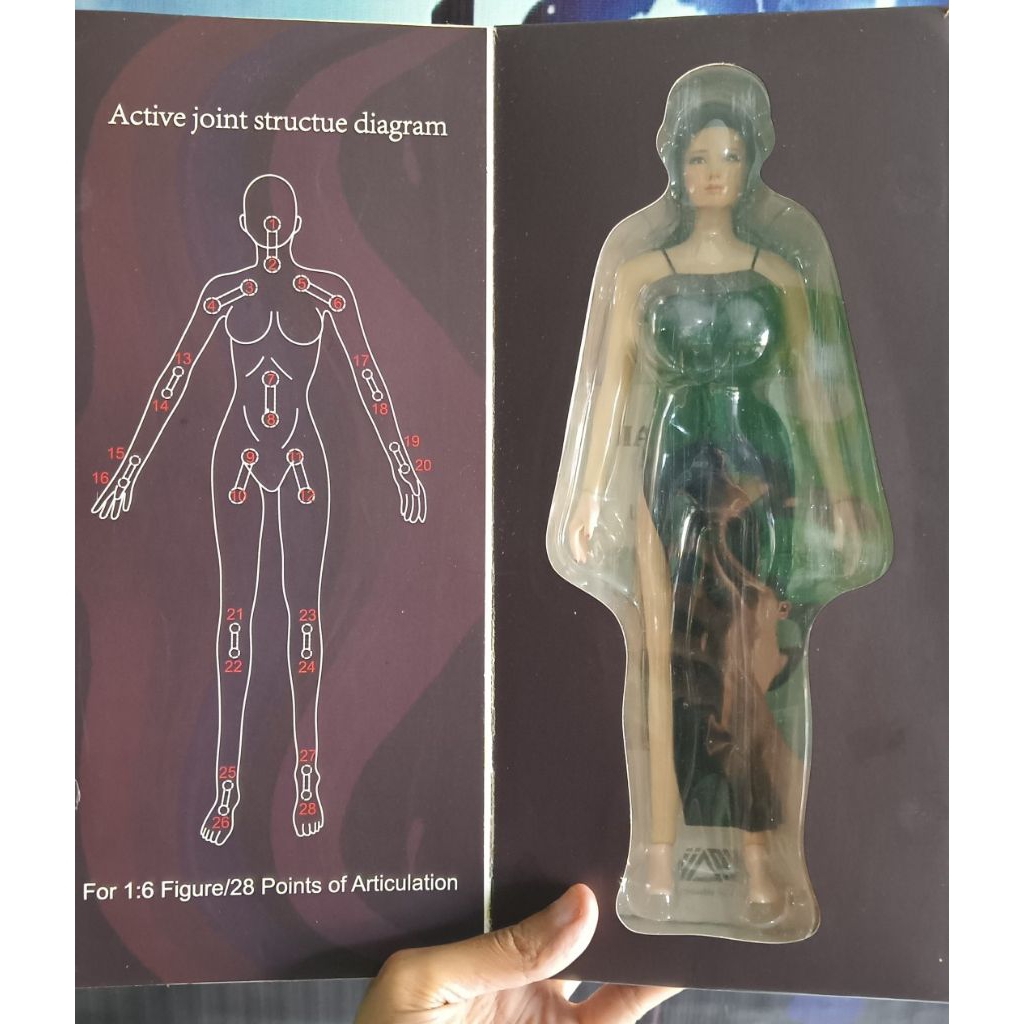 JIAOU DOLL 1:6 SEAMLESS FEMALE BODY BRAND NEW VERSION 3.0 BALL JOINT ARTICULATION STAINLESS STEEL AN
