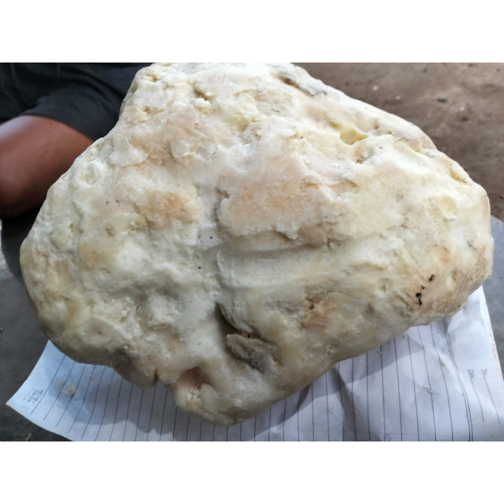 Ambergris/Muntahan Paus