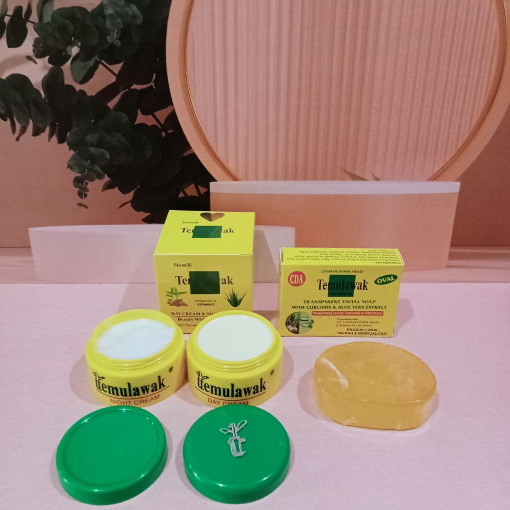 Paket Cream Temulawak New® 3in1 Bpom
